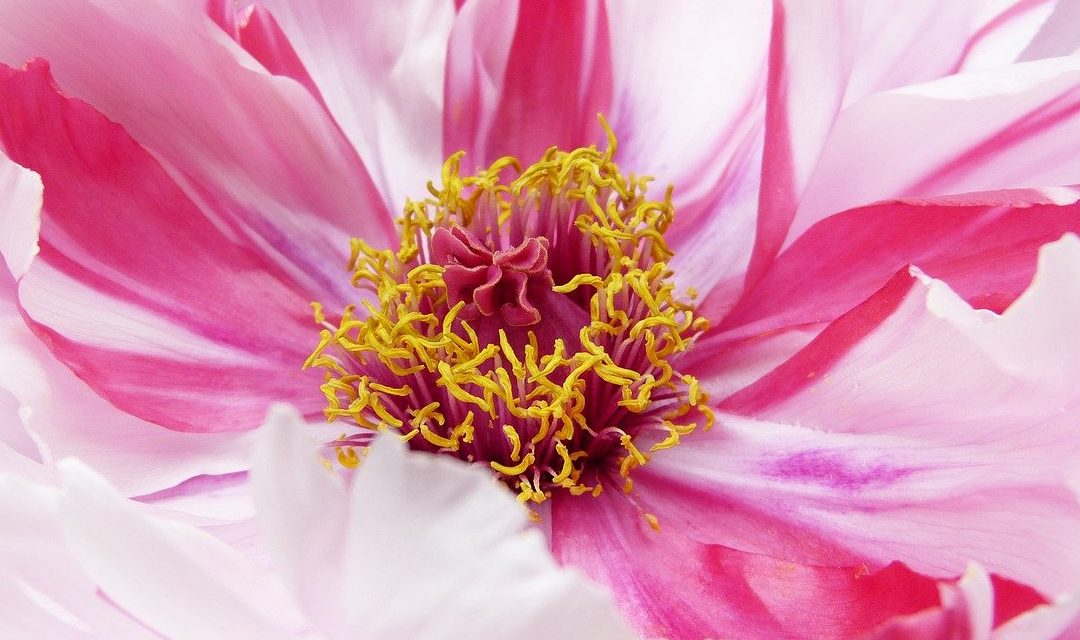 7 Reasons Meditation Helps You To Find True Self-Love