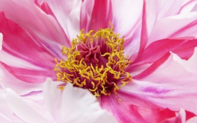 7 Reasons Meditation Helps You To Find True Self-Love
