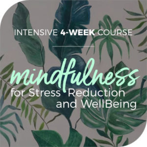 Mindfulness stress and wellbeing