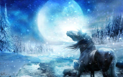 Winter Solstice – a time to go inwards and discover Yourself