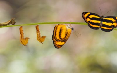 8 Conscious Steps to Transform Negative Samskaras