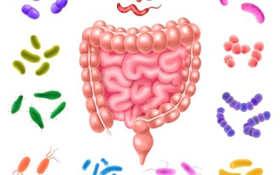 Why a Parasite Cleanse is Crucial for Optimal Health and Wellness