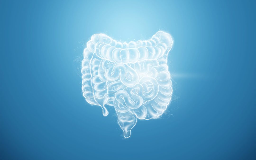 Which Colon Hydrotherapy System is Right For You