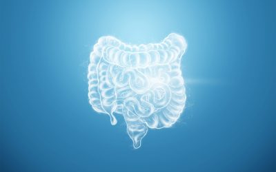 Which Colon Hydrotherapy System is Right For You