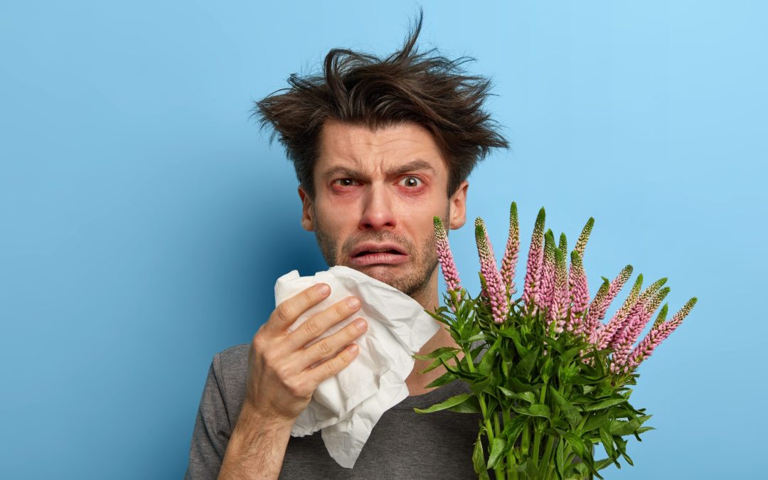 The Ultimate Guide to Hay Fever: Symptoms, Causes, and Treatment Options