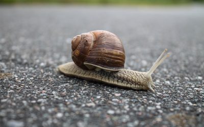 The Benefits of Moving Slow