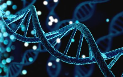 How your genes affect the way your body responds to food