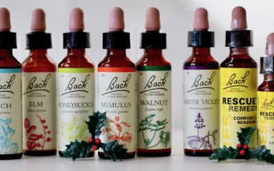 Deck the Halls with Bach Flower Remedies! Seasonal remedies for support (or rescue) during the holidays…