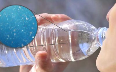 The Impact of Environmental Toxins on Our Health: How to Detect Them and Detoxify Your body