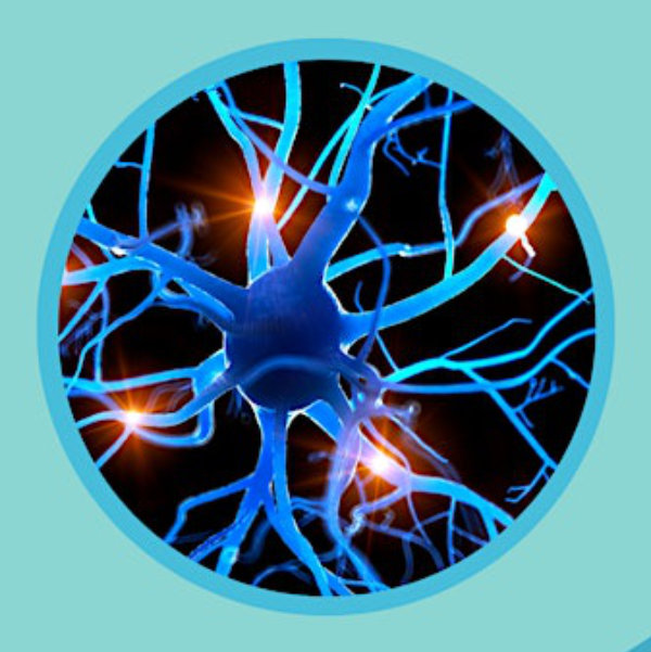 Heal Your Nervous System