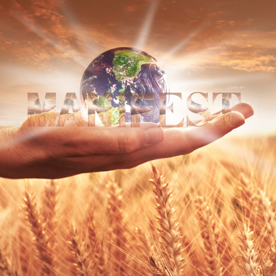 Copy of Light Centre 400 x 400