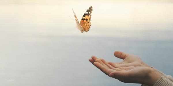 Unlocking your Potential