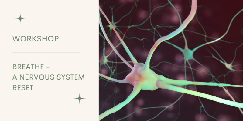 Reset Your Nervous System Through Breath