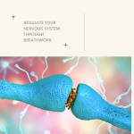 Regulate Your Nervous System Through Breathwork