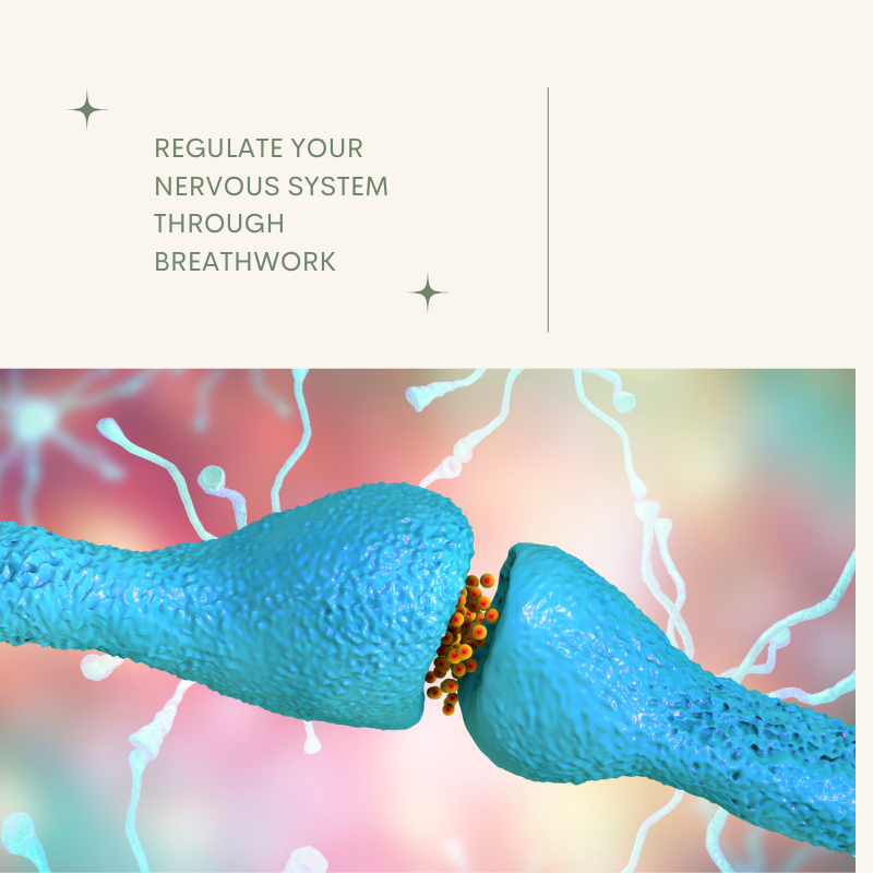 Regulate Your Nervous System Through Breathwork
