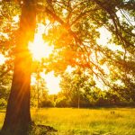 Summer Solstice