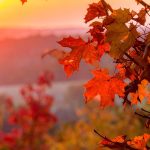 Autumn Equinox Restorative Yoga