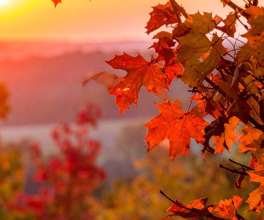 Autumn Equinox Restorative Yoga